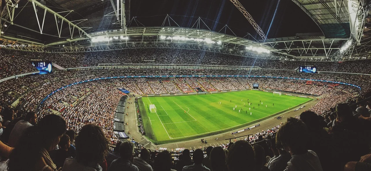 Anatomie d'une cote de football